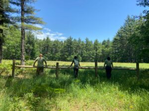Read more about the article Restoring Forest Habitat with EcoCorps