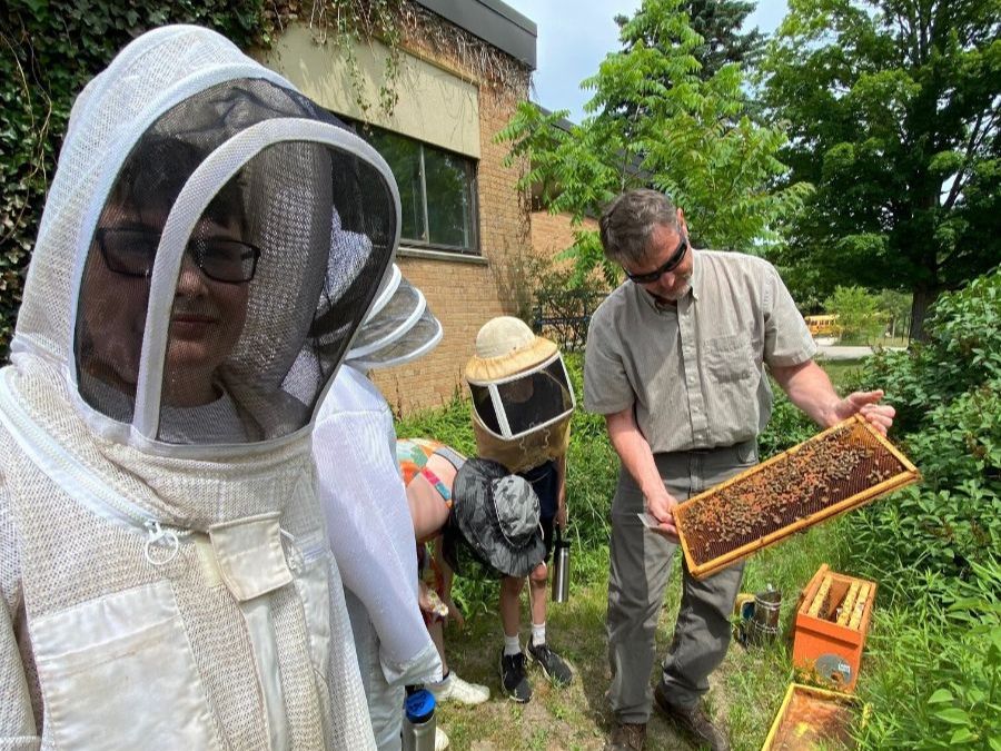 Benzie students learning about beekeeping