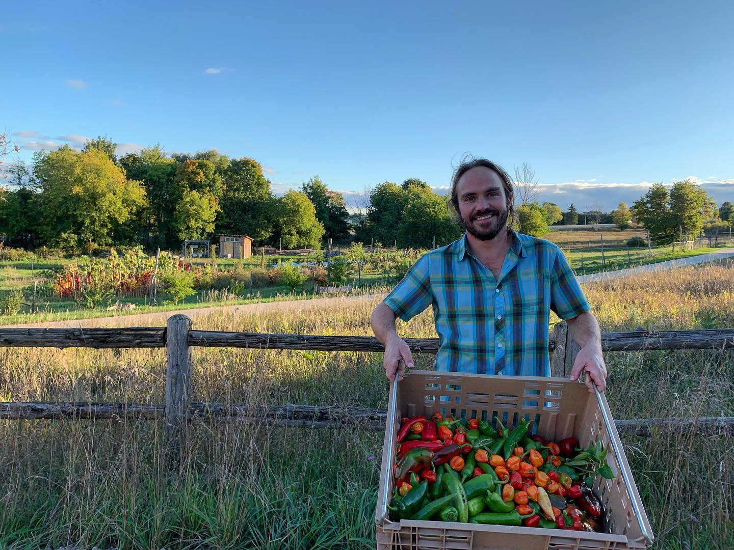 You are currently viewing Farming = Essential (all the time)