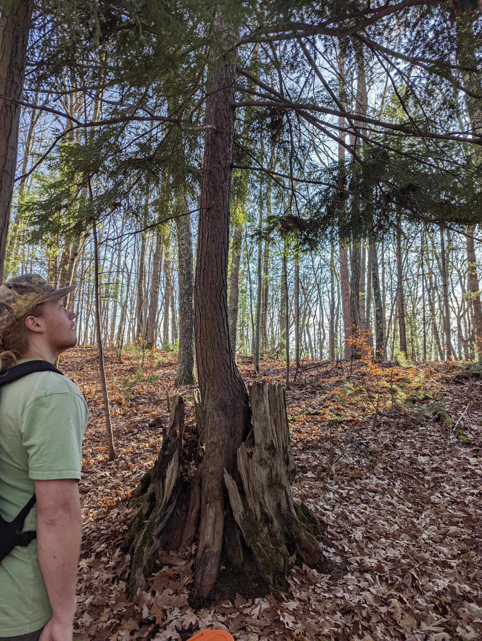 Trail Work at Good Harbor and Pyramid Point Trail - SEEDS