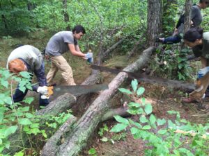 Read more about the article Trail Work on North Manitou Island