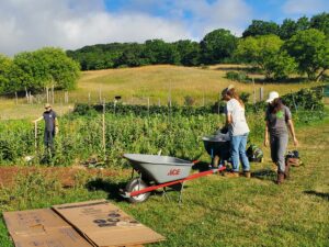 Read more about the article The SEEDS Farm at Historic Barns Park