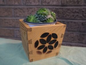 2022 EcoCorps woodshop small plant box 6