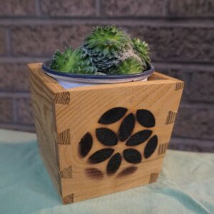 Small plant box