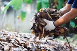 Read more about the article Why Composting Matters