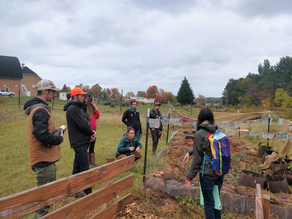 A group of people surveys SEEDS Farm in the fall season.