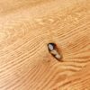 Red Oak Coffee Table with Fossil Embellishments - Image 5